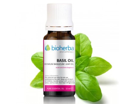 Essential oils of basil 10ml.